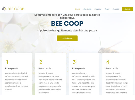 Bee Coop